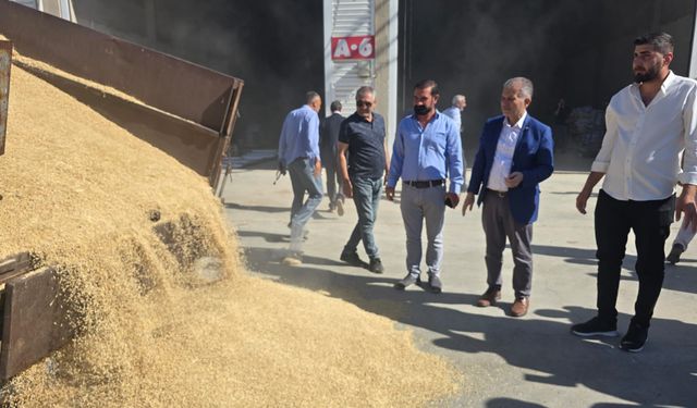Mardin'de yılın ilk arpa hasadı yapıldı 