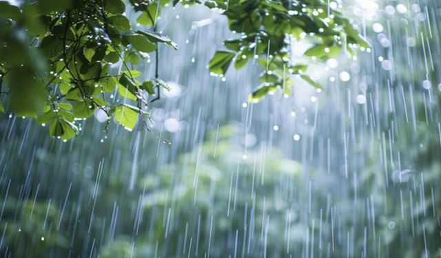 Meteorolojiden 16 il için sarı kodlu alarm!