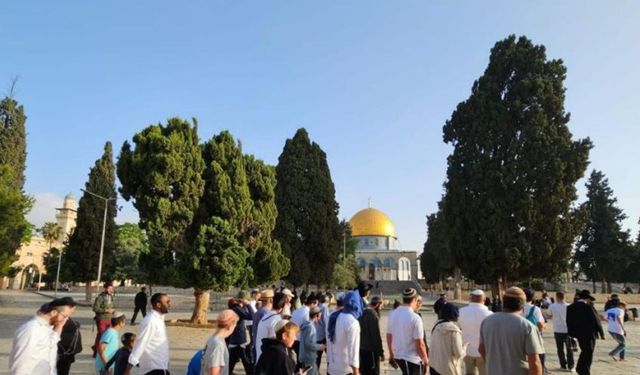 Onlarca siyonist yerleşimci Mescid-i Aksa’ya baskın düzenledi