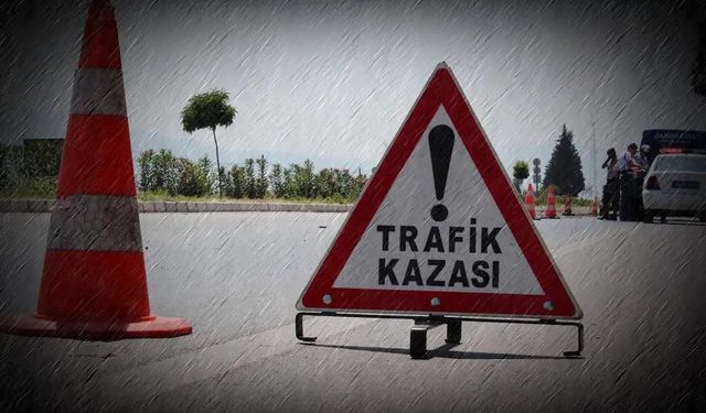 Otomobil koyun sürüsüne çarptı: 3 yaralı