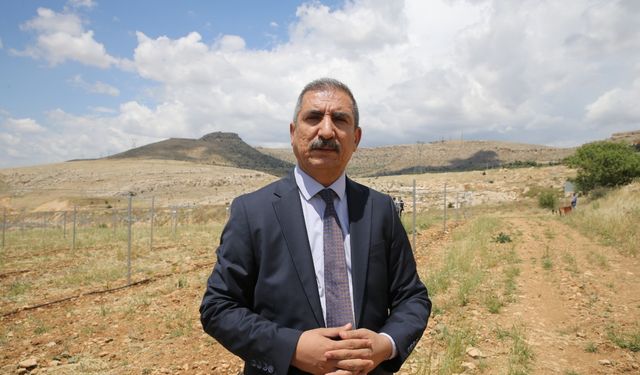Prof. Dr. Doğan: Anız yakmakla sadece toprağı değil, geleceğimizi de yakıyoruz