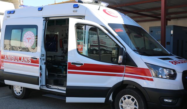 Şanlıurfa'da sokak köpeği zincirleme kazaya neden oldu: 4 yaralı