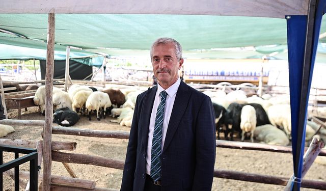 Tahmazoğlu: Kurban Bayramı'nda fahiş fiyat artışlarına asla müsaade etmeyeceğiz