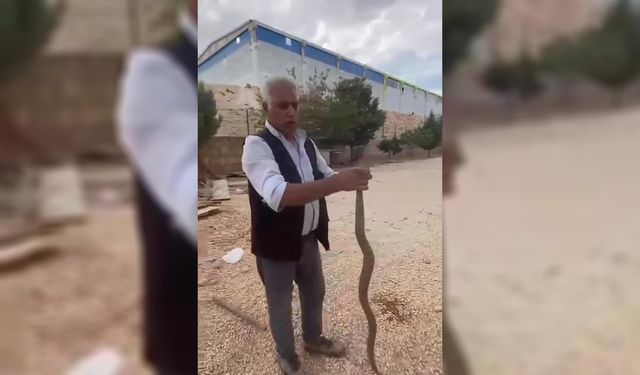 Tavuklarını yediğini iddia ettiği yılanı yakalayıp sosyal medyada paylaştı