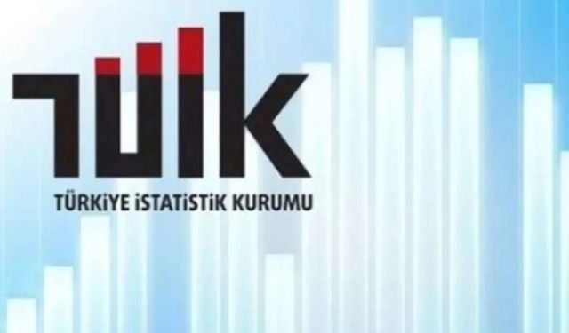 TÜİK Yurt Dışı Üretici Fiyat Endeksi verilerini açıkladı