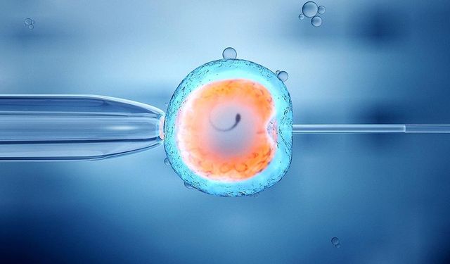 Tüp bebekte kaygıyı yönetmek anne baba olma şansını artırıyor