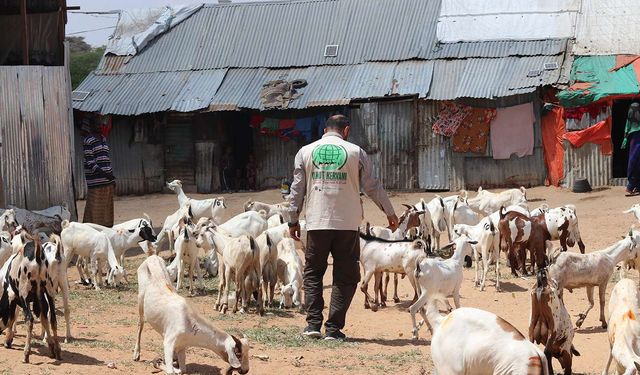 Umut Kervanı Siirt, Somali için kurban hazırlıklarını tamamladı
