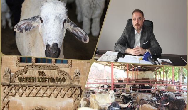 Üney: Kurban Bayramı tatil değil, ibadet ve yakınlaşma zamanıdır