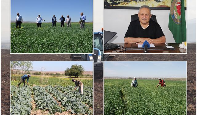 Ziraat Odası Başkanı Aydiş: Türkiye'nin kalıcı bir tarım politikasına ihtiyacı var