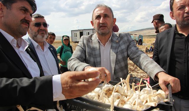 Gaziantep Milletvekili Demir sarımsak üreticisini dinledi