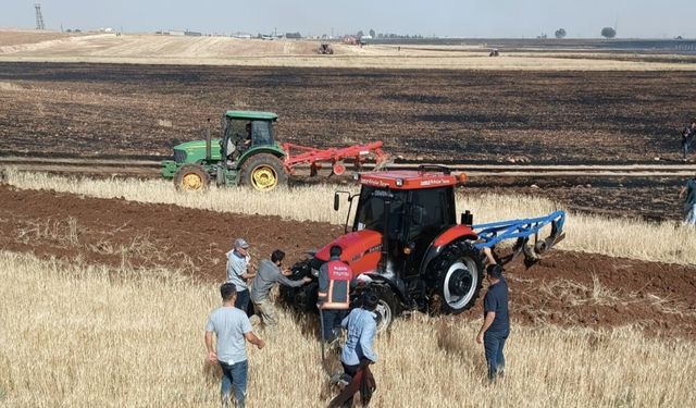 Mardin’de 200 dönüm ekili buğday kül oldu