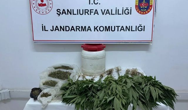 Şanlıurfa'da uyuşturucu operasyonu: 1 gözaltı
