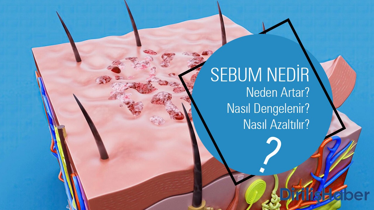 Sebum Nedir? Ciltte Sebum Neden Artar?